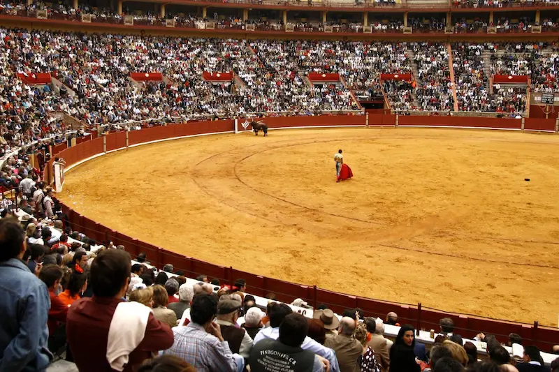 corridas de toros cordoba